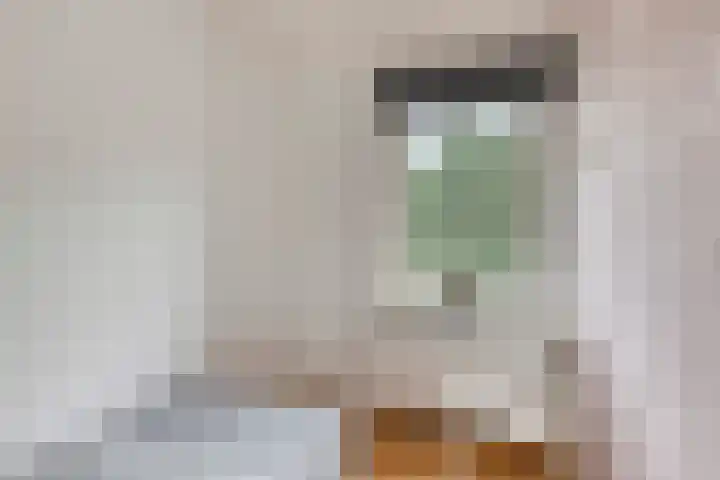Ranonkelstraat 66 Groningen thumbnail 17