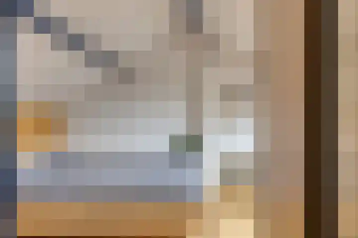 Ranonkelstraat 66 Groningen thumbnail 21