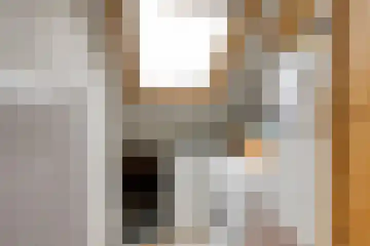 Ranonkelstraat 66 Groningen thumbnail 24