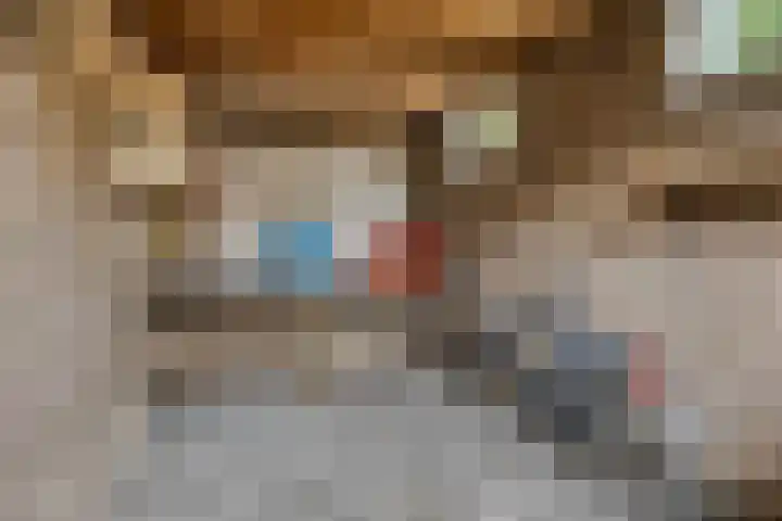 Ranonkelstraat 66 Groningen thumbnail 25