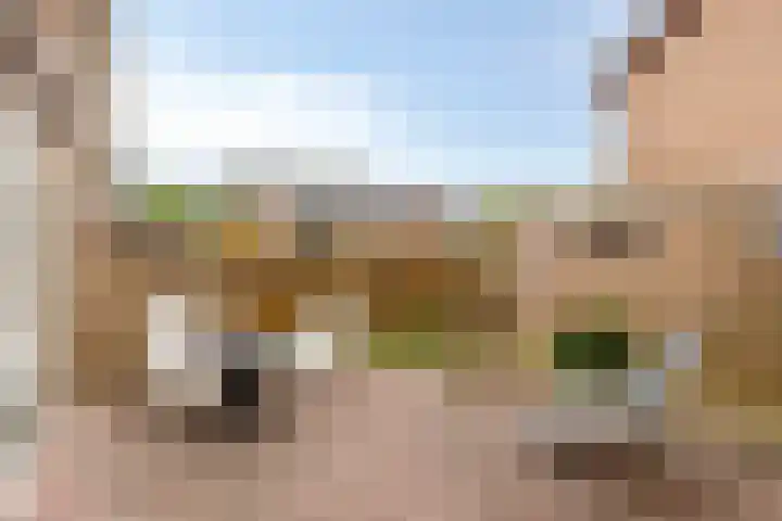 Ranonkelstraat 66 Groningen thumbnail 26
