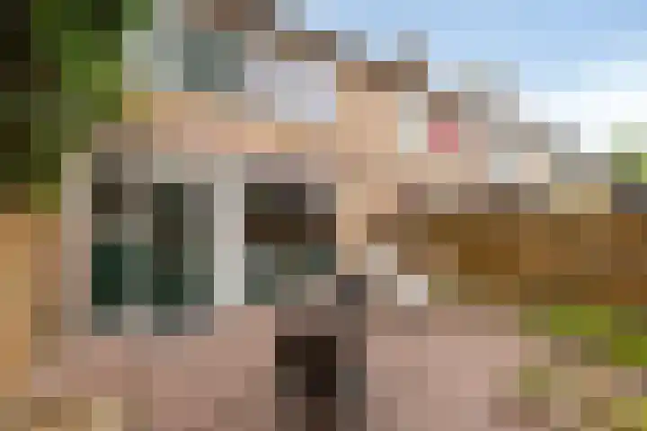 Ranonkelstraat 66 Groningen thumbnail 28