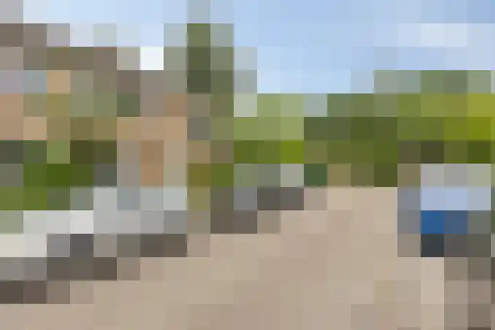 Ranonkelstraat 66 Groningen thumbnail 30