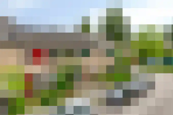 Ranonkelstraat 66 Groningen thumbnail 31