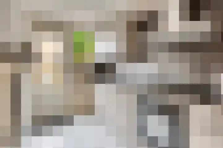 Ranonkelstraat 66 Groningen thumbnail 4