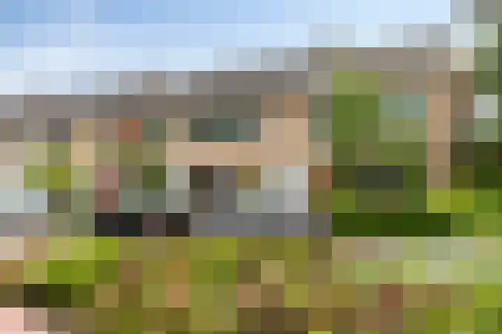Ranonkelstraat 66 Groningen thumbnail 5