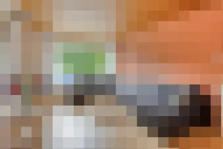 Ranonkelstraat 66 Groningen thumbnail 7