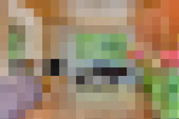 Ranonkelstraat 66 Groningen thumbnail 8