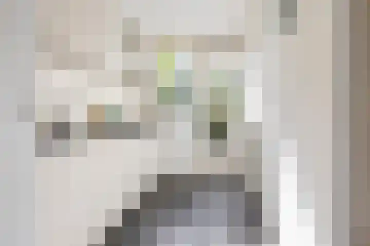 Ranonkelstraat 68 Groningen thumbnail 13