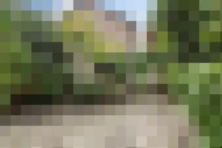 Ranonkelstraat 68 Groningen thumbnail 28