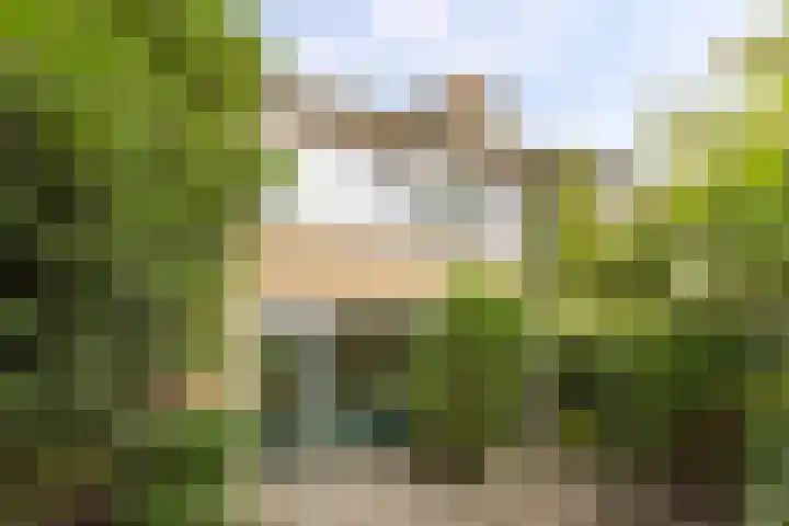 Ranonkelstraat 68 Groningen thumbnail 29