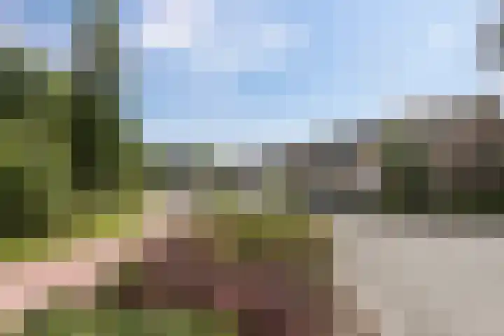 Ranonkelstraat 68 Groningen thumbnail 33