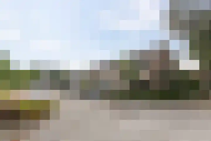 Ranonkelstraat 68 Groningen thumbnail 34