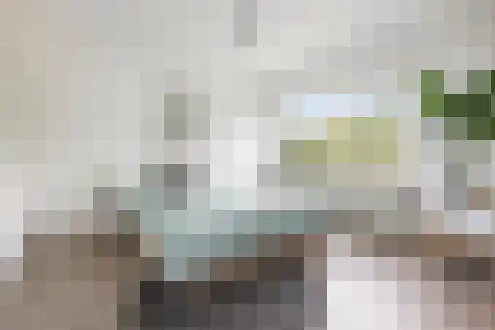 Ranonkelstraat 68 Groningen thumbnail 4
