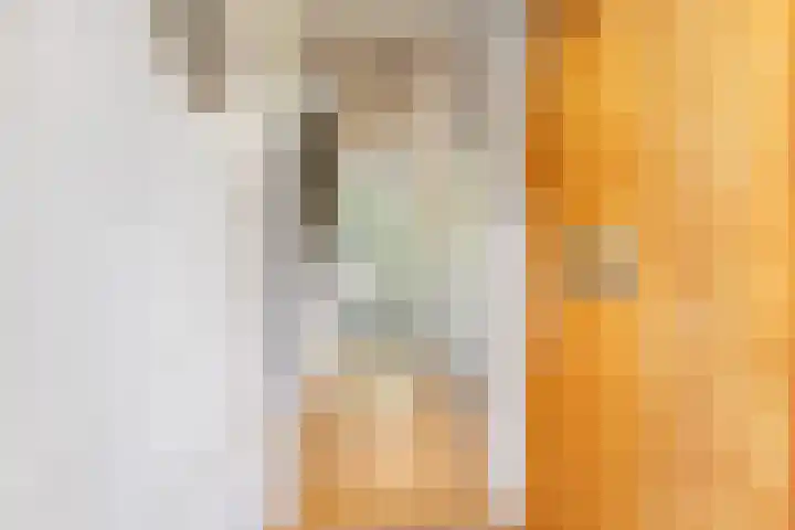 Ranonkelstraat 68 Groningen thumbnail 6