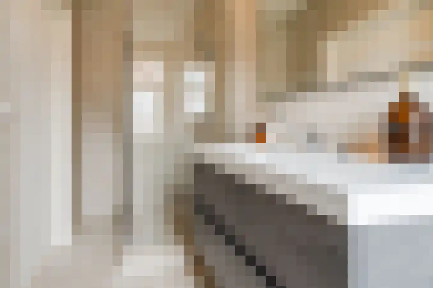 Ranonkelstraat 7 A Eindhoven thumbnail 14