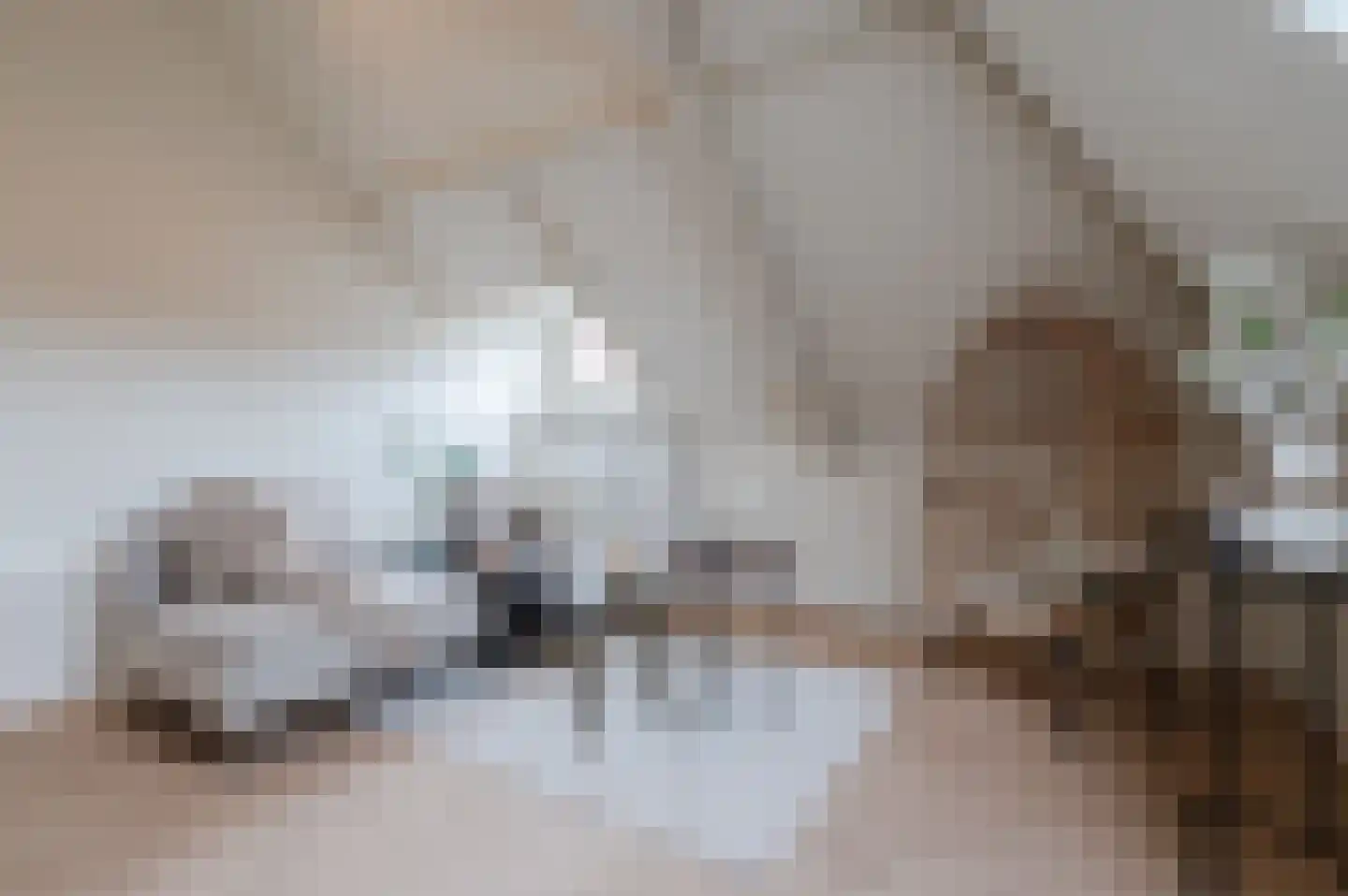 Ranonkelstraat 7 A Eindhoven thumbnail 22