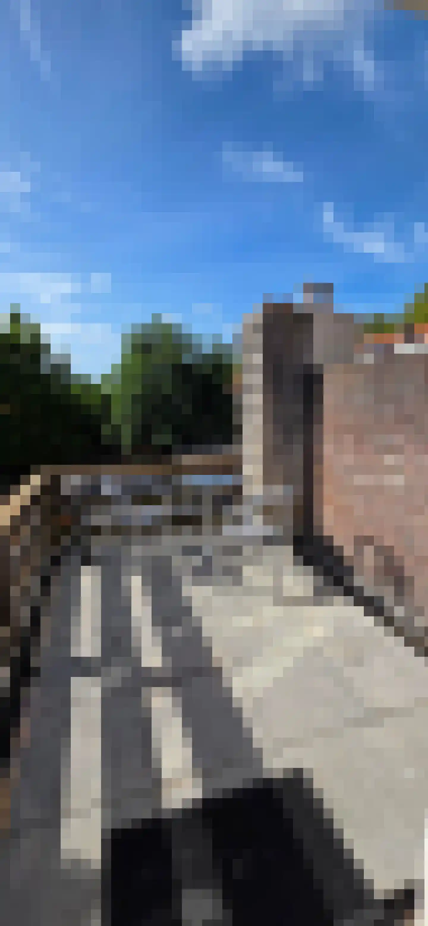 Ranonkelstraat 7 A Eindhoven thumbnail 29