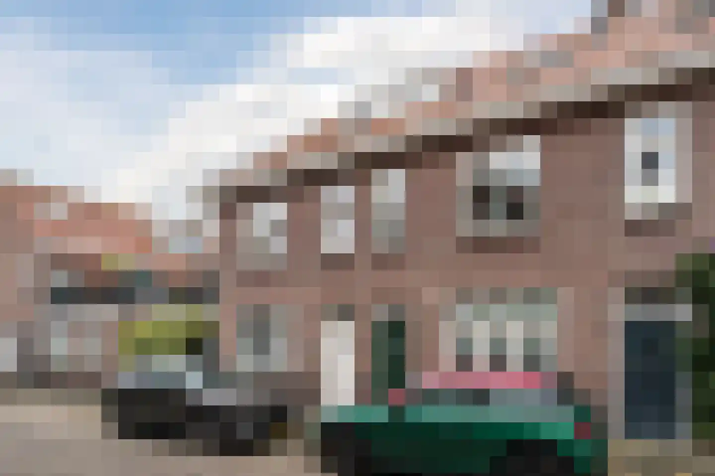 Ranonkelstraat 7 A Eindhoven thumbnail 6