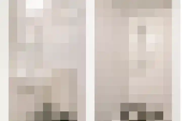 Ranonkelstraat 7 Eindhoven thumbnail 10