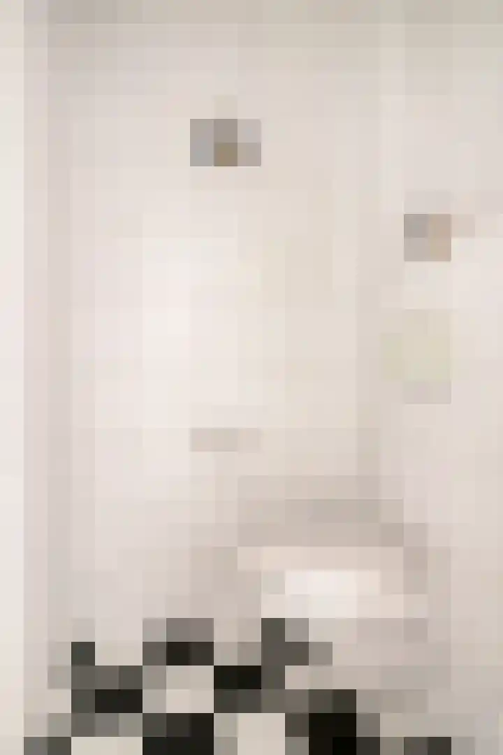Ranonkelstraat 7 Eindhoven thumbnail 12