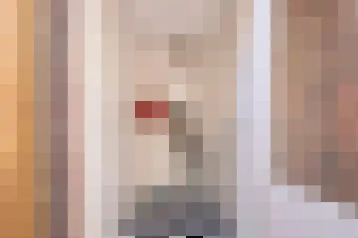 Ranonkelstraat 7 Eindhoven thumbnail 17