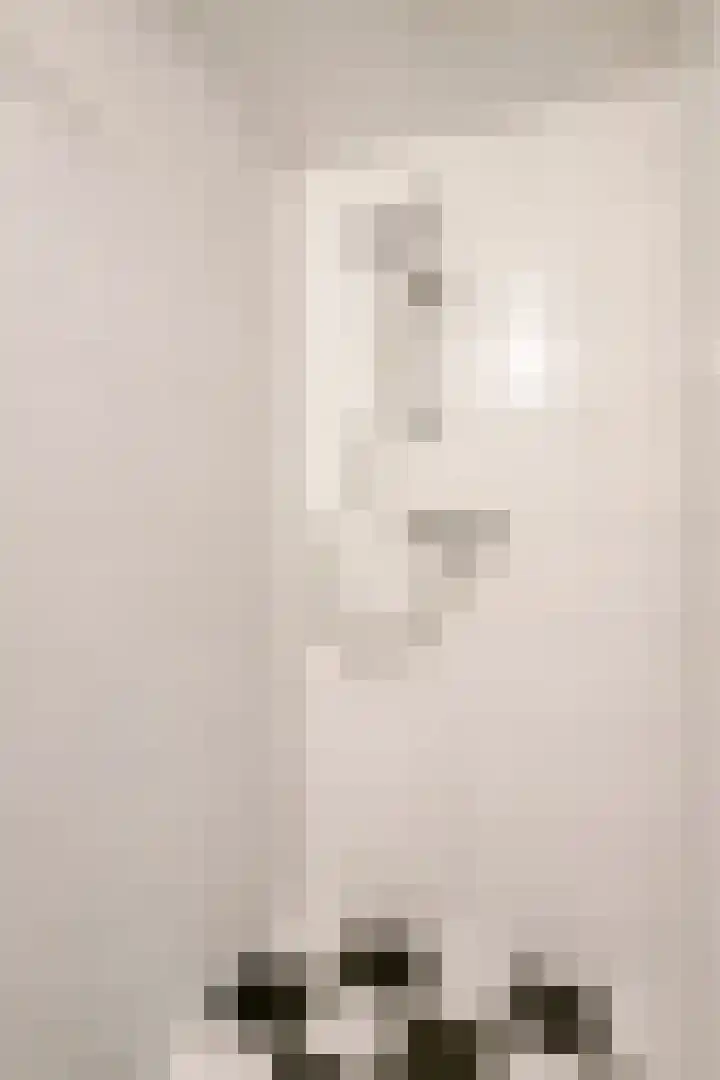 Ranonkelstraat 7 Eindhoven thumbnail 19