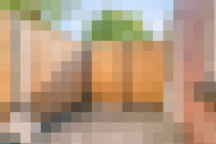 Ranonkelstraat 7 Eindhoven thumbnail 20