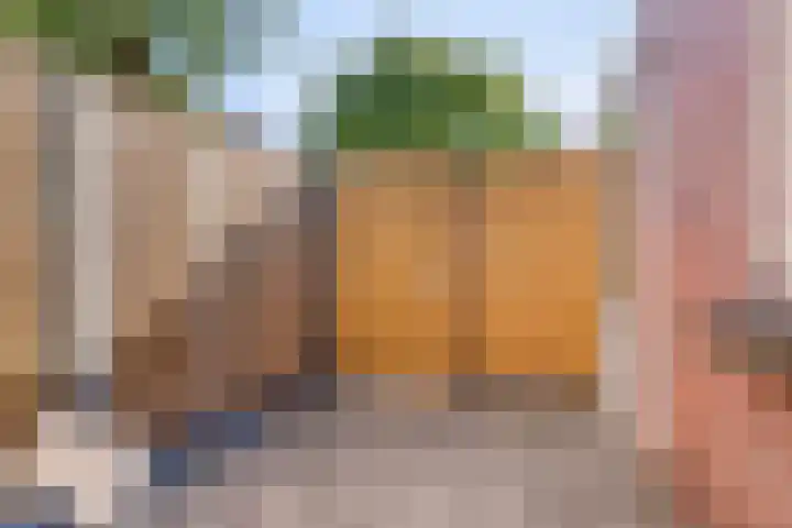 Ranonkelstraat 7 Eindhoven thumbnail 21