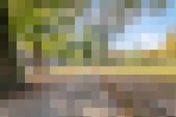 Ranonkelstraat 7 Eindhoven thumbnail 23