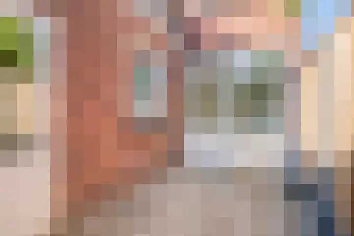 Ranonkelstraat 7 Eindhoven thumbnail 5