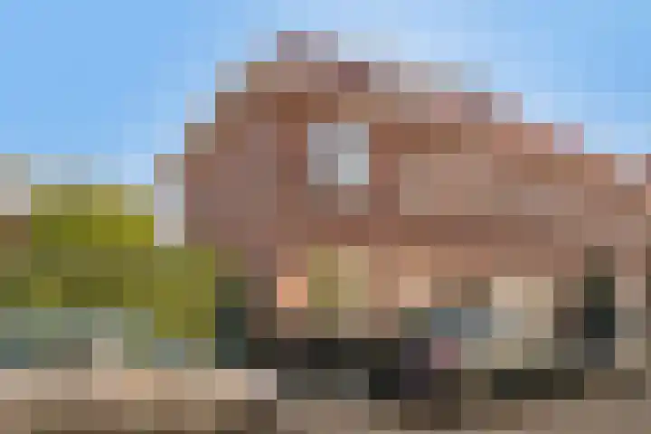 Ranonkelstraat 7 Eindhoven thumbnail 7