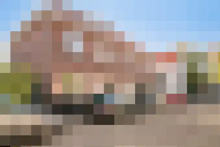 Ranonkelstraat 7 Eindhoven thumbnail 8