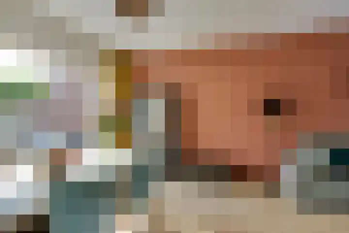 Ranonkelstraat 7 Son en Breugel thumbnail 11