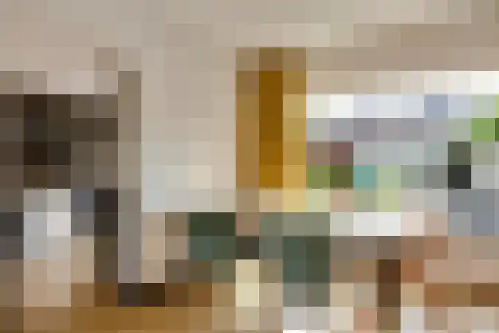 Ranonkelstraat 7 Son en Breugel thumbnail 12