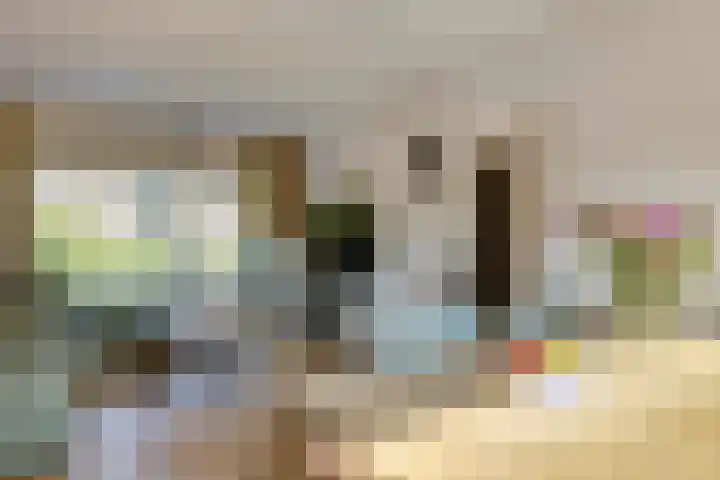 Ranonkelstraat 7 Son en Breugel thumbnail 13