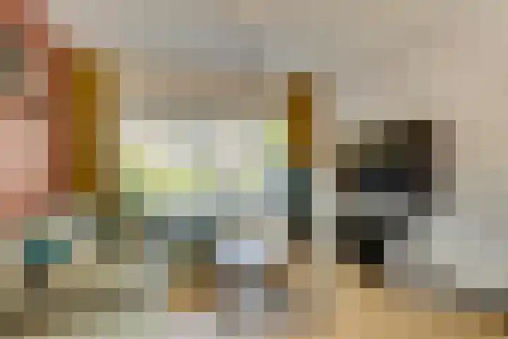 Ranonkelstraat 7 Son en Breugel thumbnail 14
