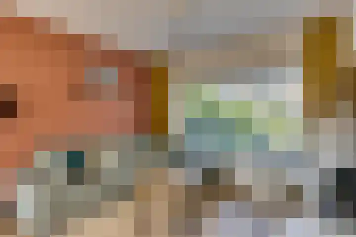 Ranonkelstraat 7 Son en Breugel thumbnail 15