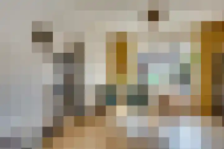 Ranonkelstraat 7 Son en Breugel thumbnail 17