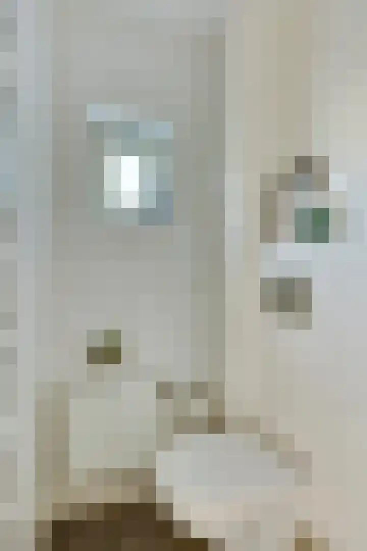 Ranonkelstraat 7 Son en Breugel thumbnail 19