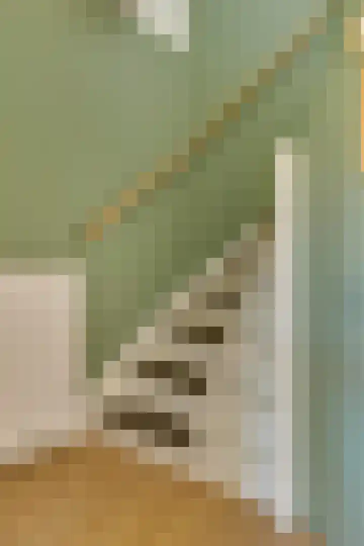 Ranonkelstraat 7 Son en Breugel thumbnail 20