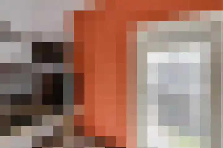 Ranonkelstraat 7 Son en Breugel thumbnail 25