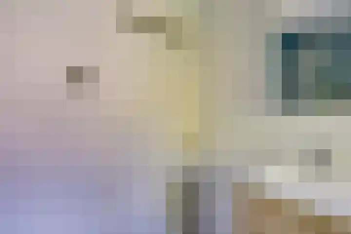 Ranonkelstraat 7 Son en Breugel thumbnail 28