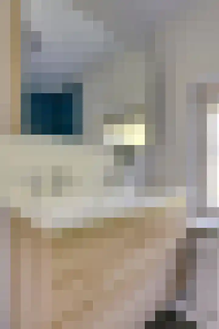 Ranonkelstraat 7 Son en Breugel thumbnail 29