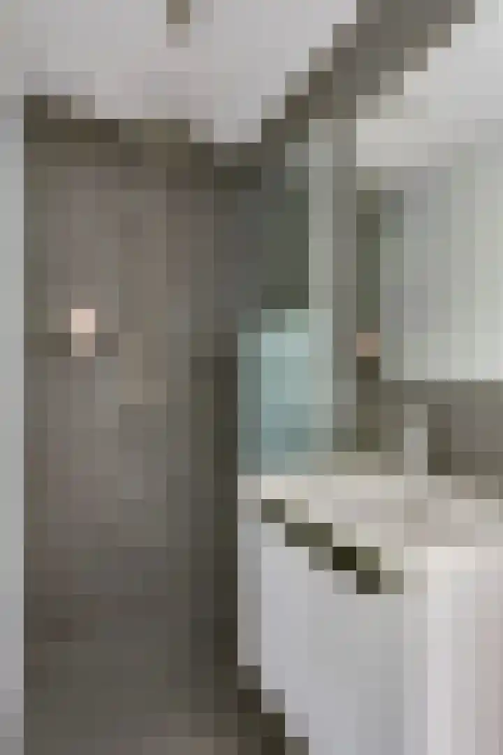Ranonkelstraat 7 Son en Breugel thumbnail 32