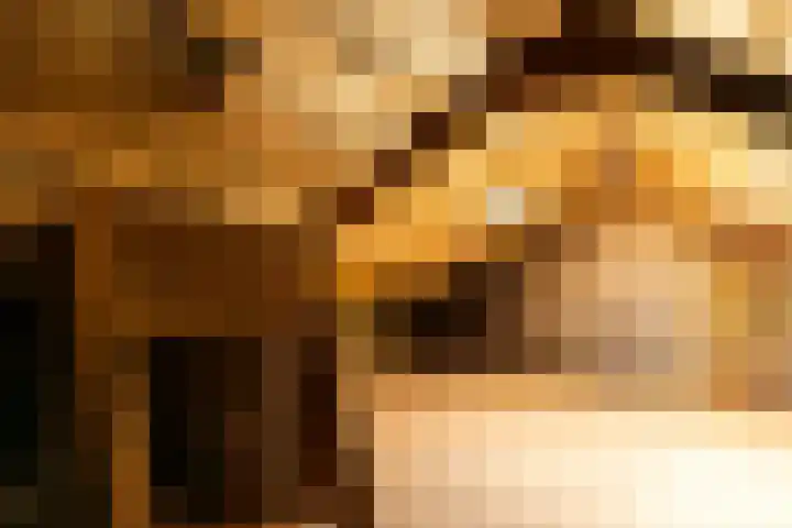 Ranonkelstraat 7 Son en Breugel thumbnail 33