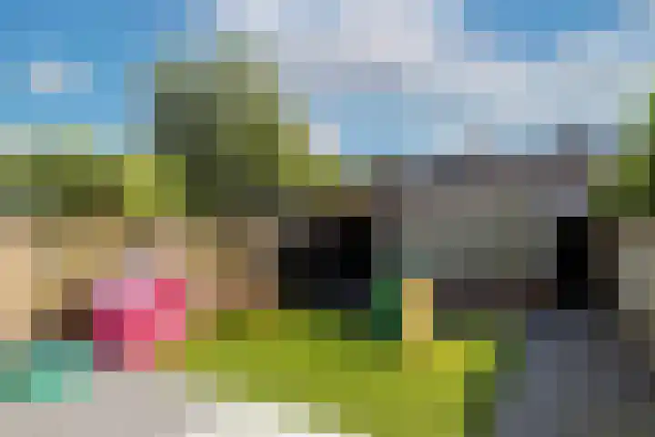 Ranonkelstraat 7 Son en Breugel thumbnail 36