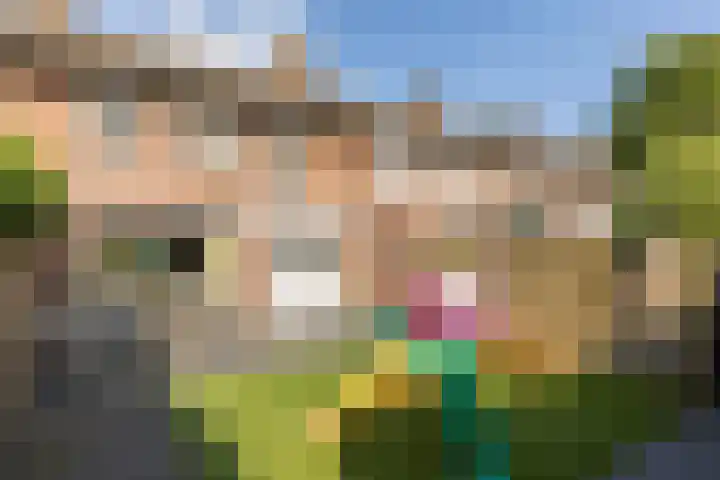 Ranonkelstraat 7 Son en Breugel thumbnail 37