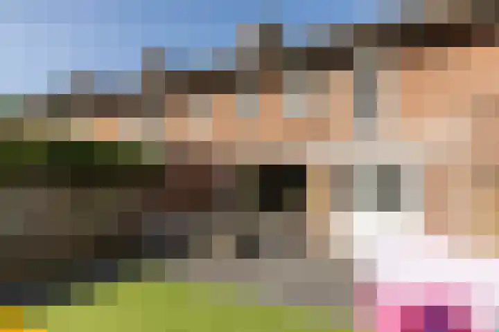 Ranonkelstraat 7 Son en Breugel thumbnail 38