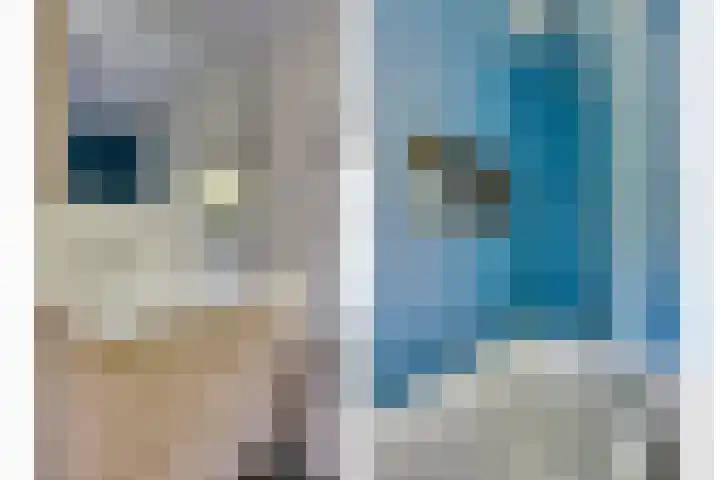 Ranonkelstraat 7 Son en Breugel thumbnail 4